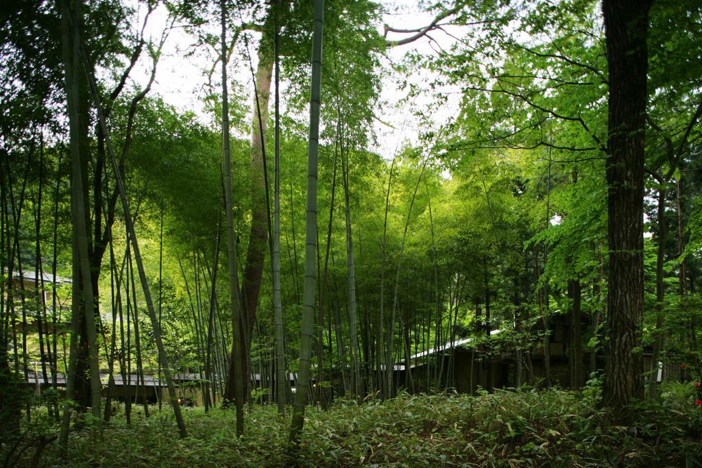旅館 積善館　佳松亭・山荘 中之条町