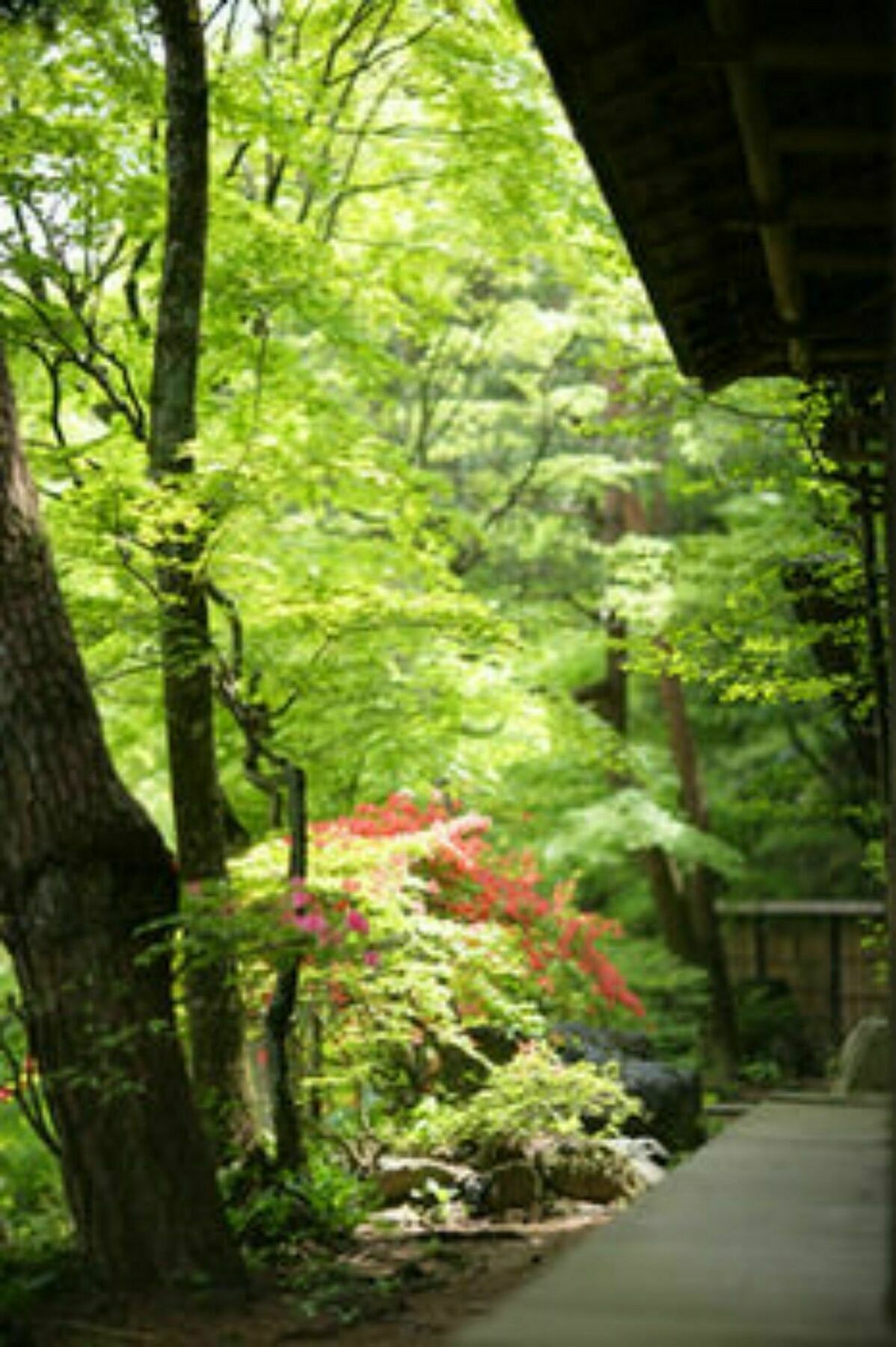 Sekizenkan Kashotei Sanso Ryokan 4*